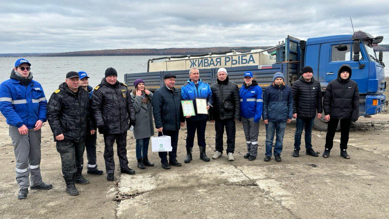 Состоялся выпуск 58 тысяч штук молоди сазана в Сурское водохранилище