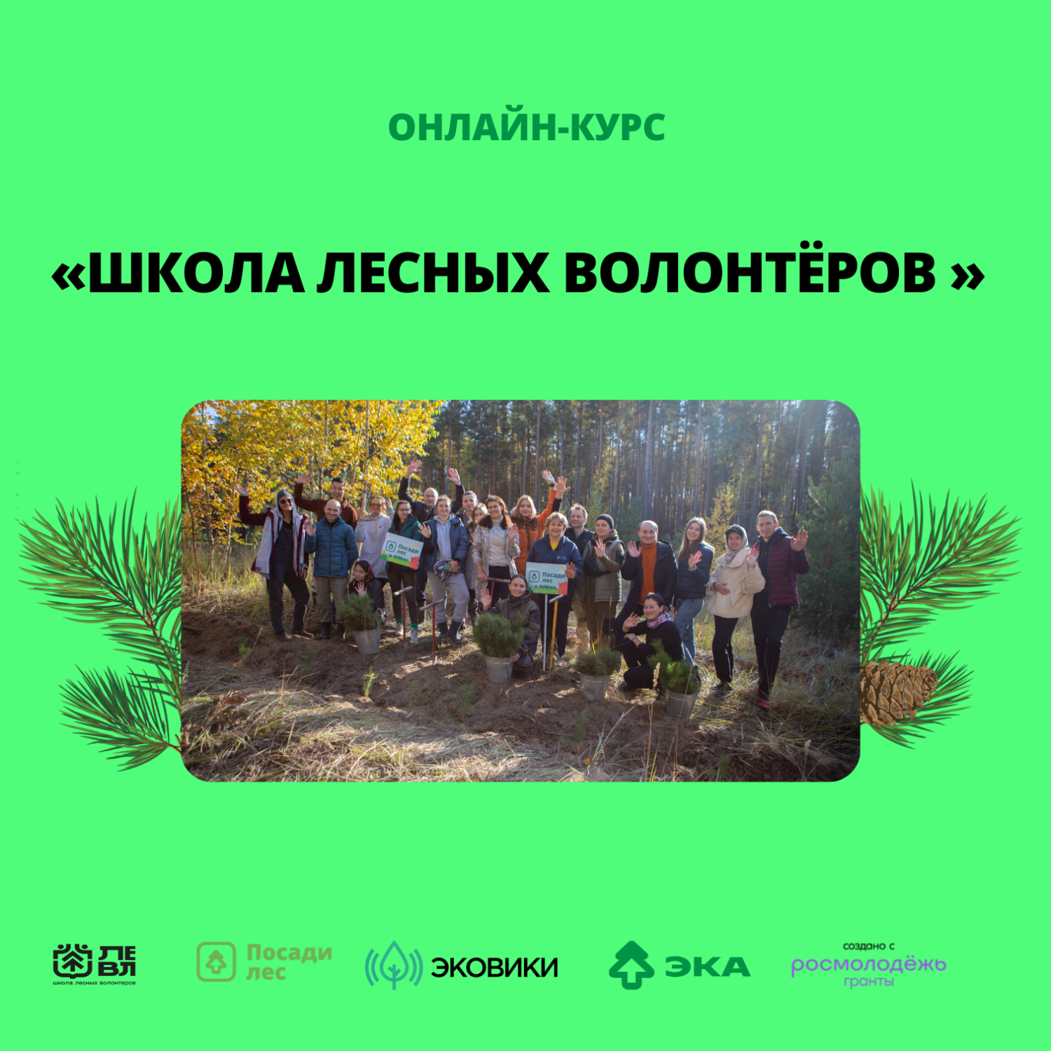 Пензенцев приглашают пройти онлайн-курс по лесному волонтерству и поехать в полевой лагерь Пензенцев приглашают пройти онлайн-курс по лесному волонтерству и поехать в полевой лагерь