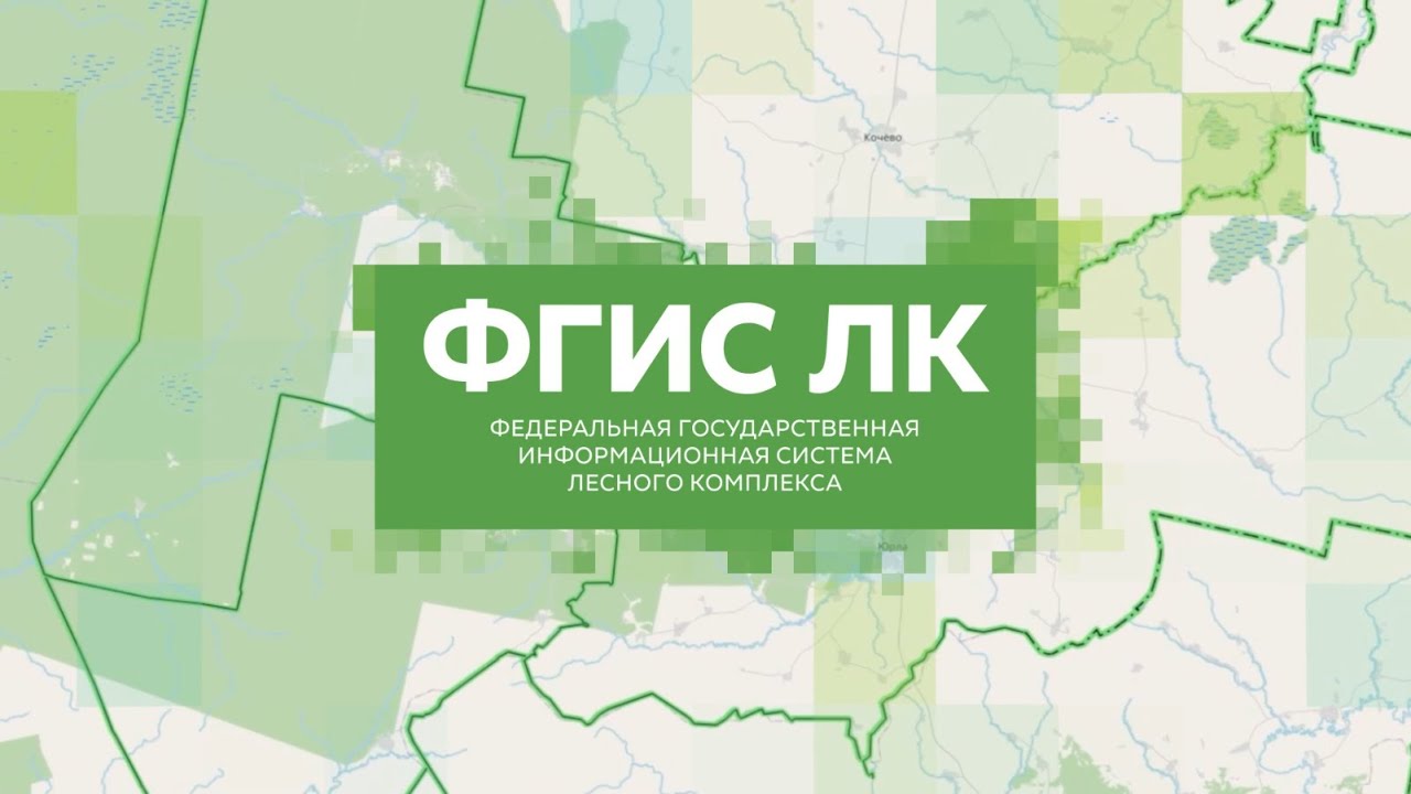Новые правила предоставления выписки из государственного лесного реестра