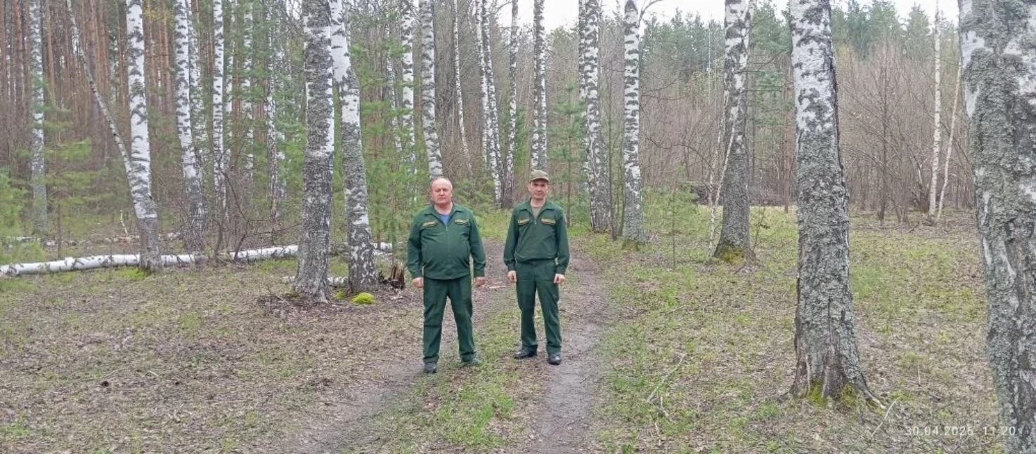 В Пензенской области предотвращены лесные пожары в период майских праздников В Пензенской области предотвращены лесные пожары в период майских праздников