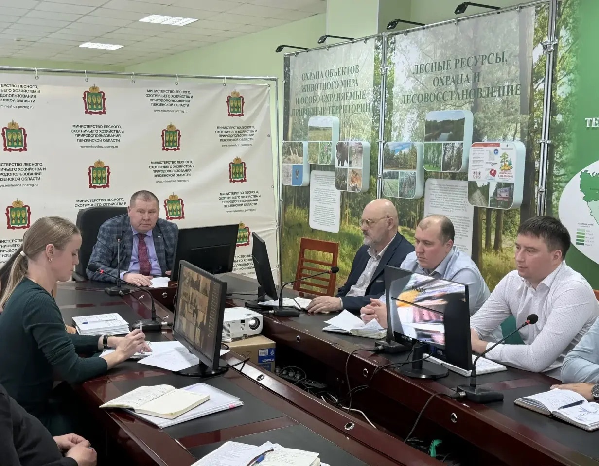 Министр лесного хозяйства Пензенской области провёл совещание в формате видеоконференции
