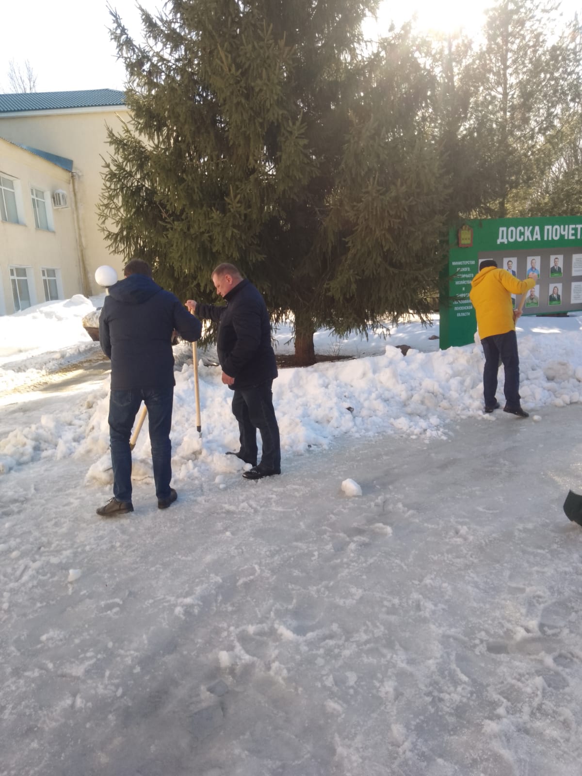Сотрудники Министерства вышли на уборку снега