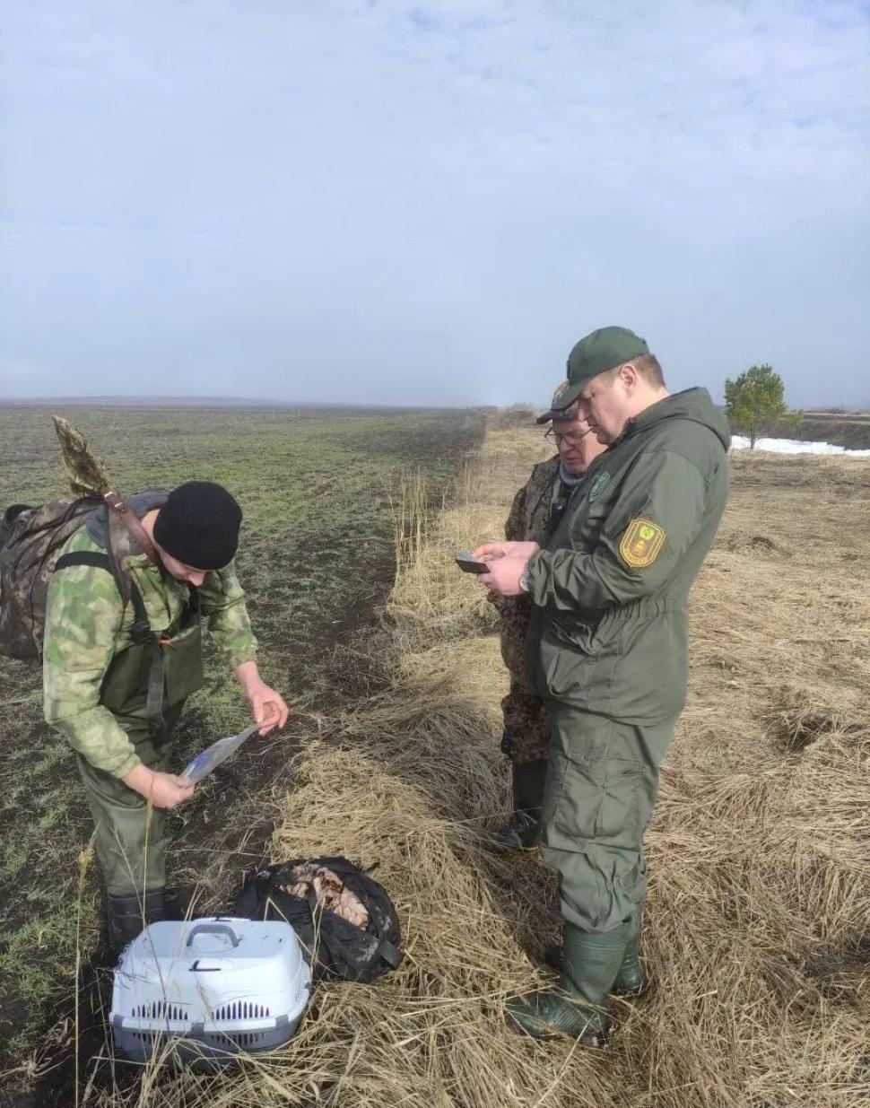 На территории Пензенской области выявлено 7 нарушений охотничьего законодательства На территории Пензенской области выявлено 7 нарушений охотничьего законодательства