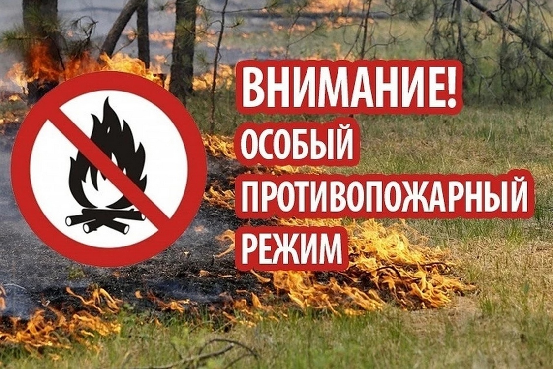 На территории Пензенской области с 1 июня введен особый противопожарный режим