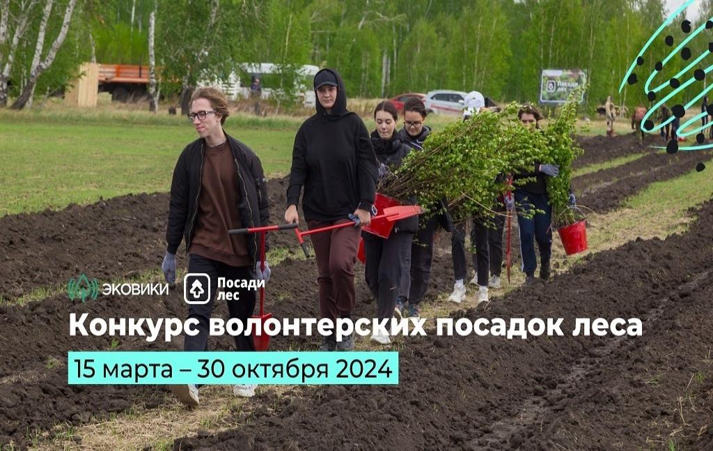 Приглашаем принять участие в конкурсе посадок деревьев Приглашаем принять участие в конкурсе посадок деревьев