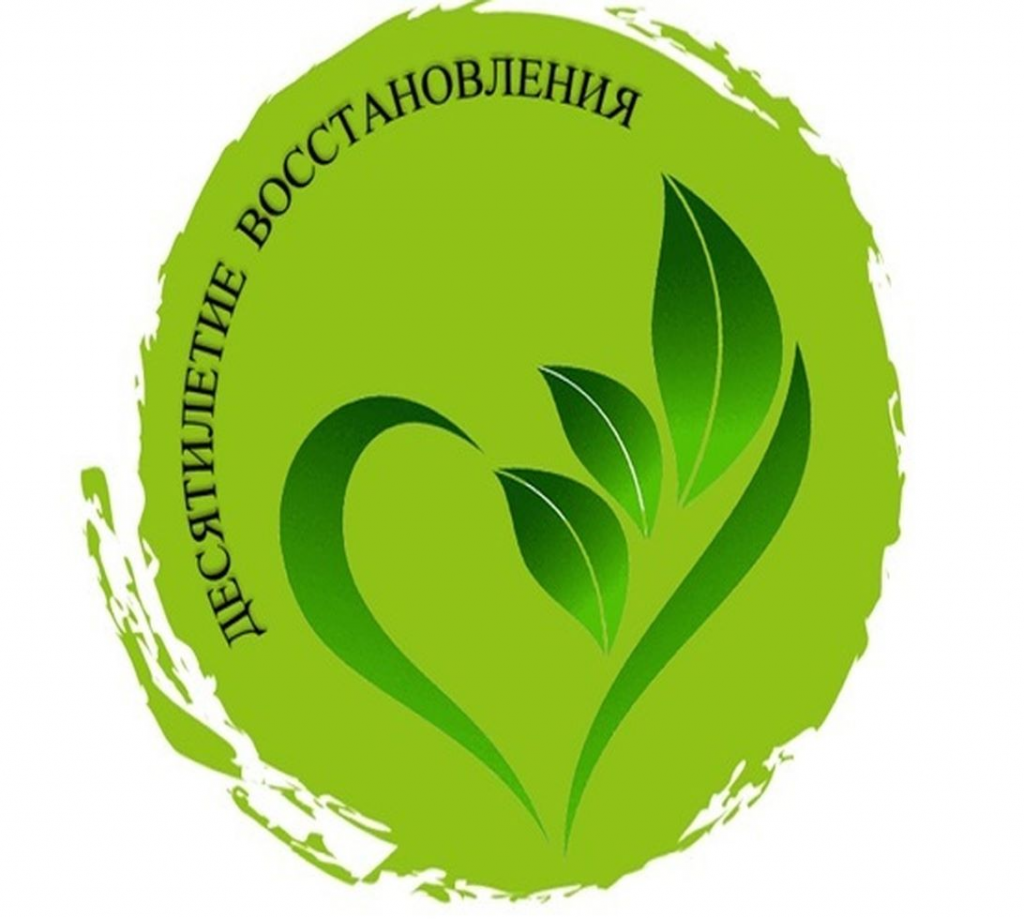 Минлесхоз Пензенской области приглашает блогеров и журналистов принять участие в конкурсе «Десятилетие восстановления» Минлесхоз Пензенской области приглашает блогеров и журналистов принять участие в конкурсе «Десятилетие восстановления»