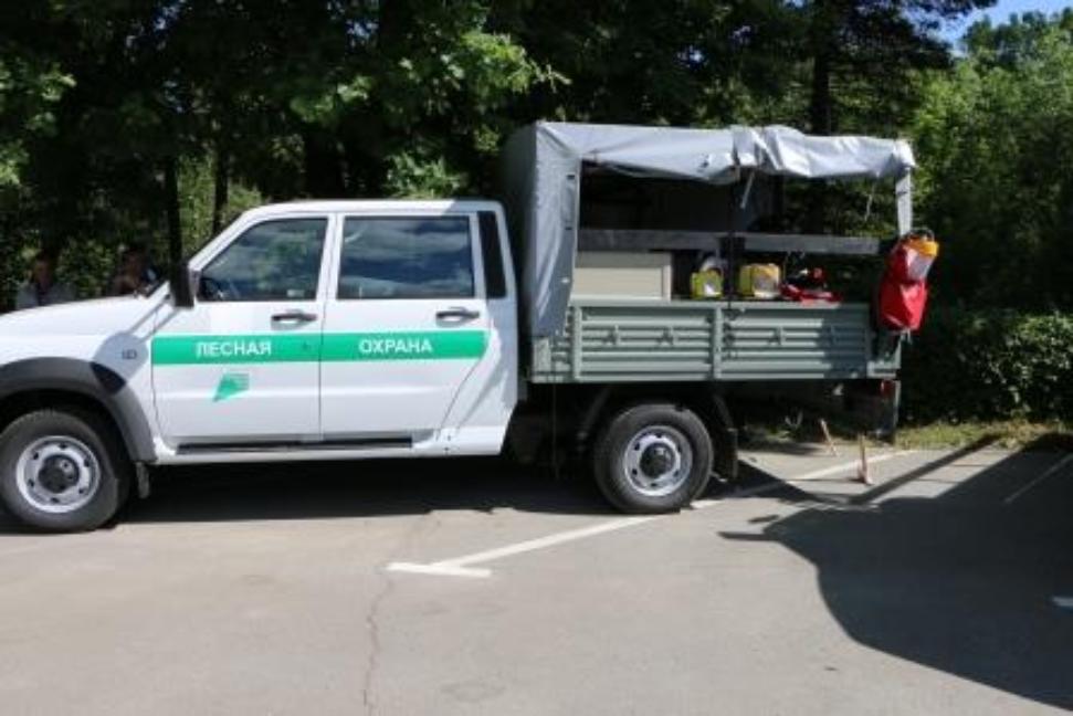 На территории Пензенской области введён особый противопожарный режим