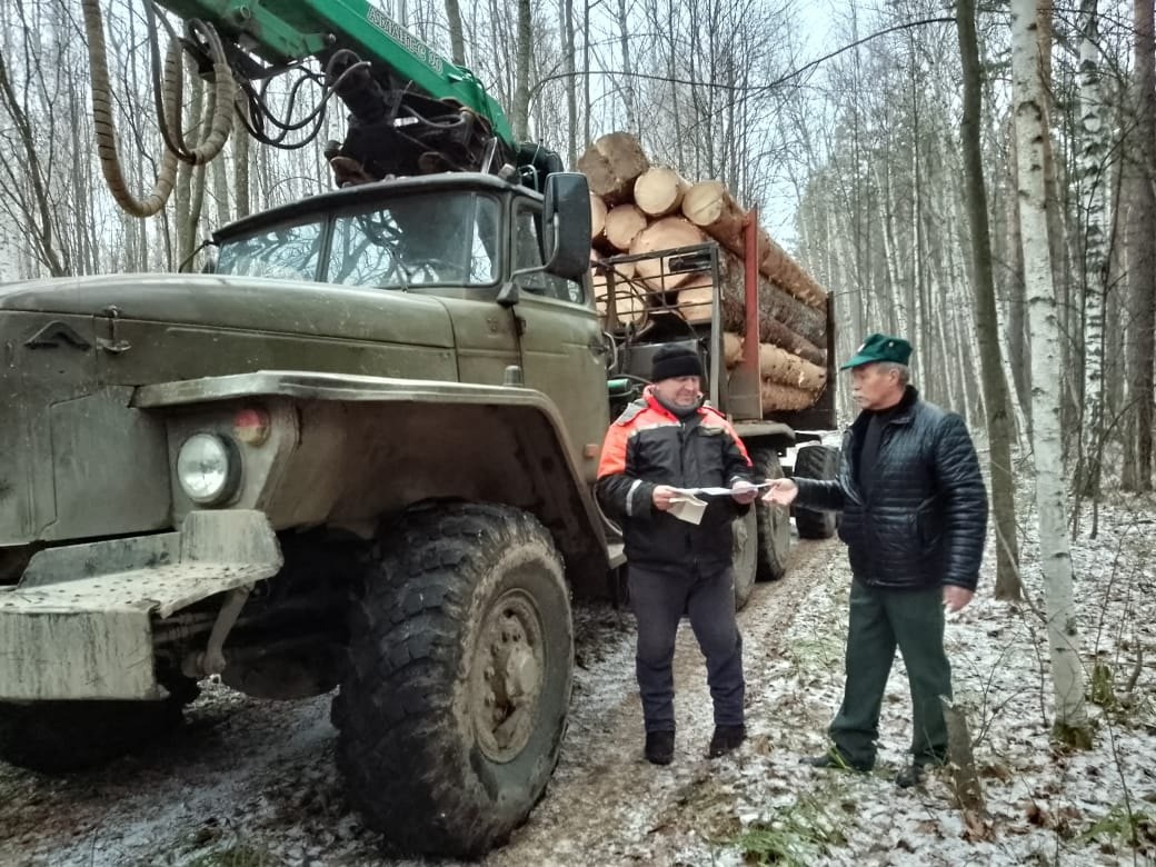 Подведены итоги оперативно-профилактической операции «Лесовоз»
