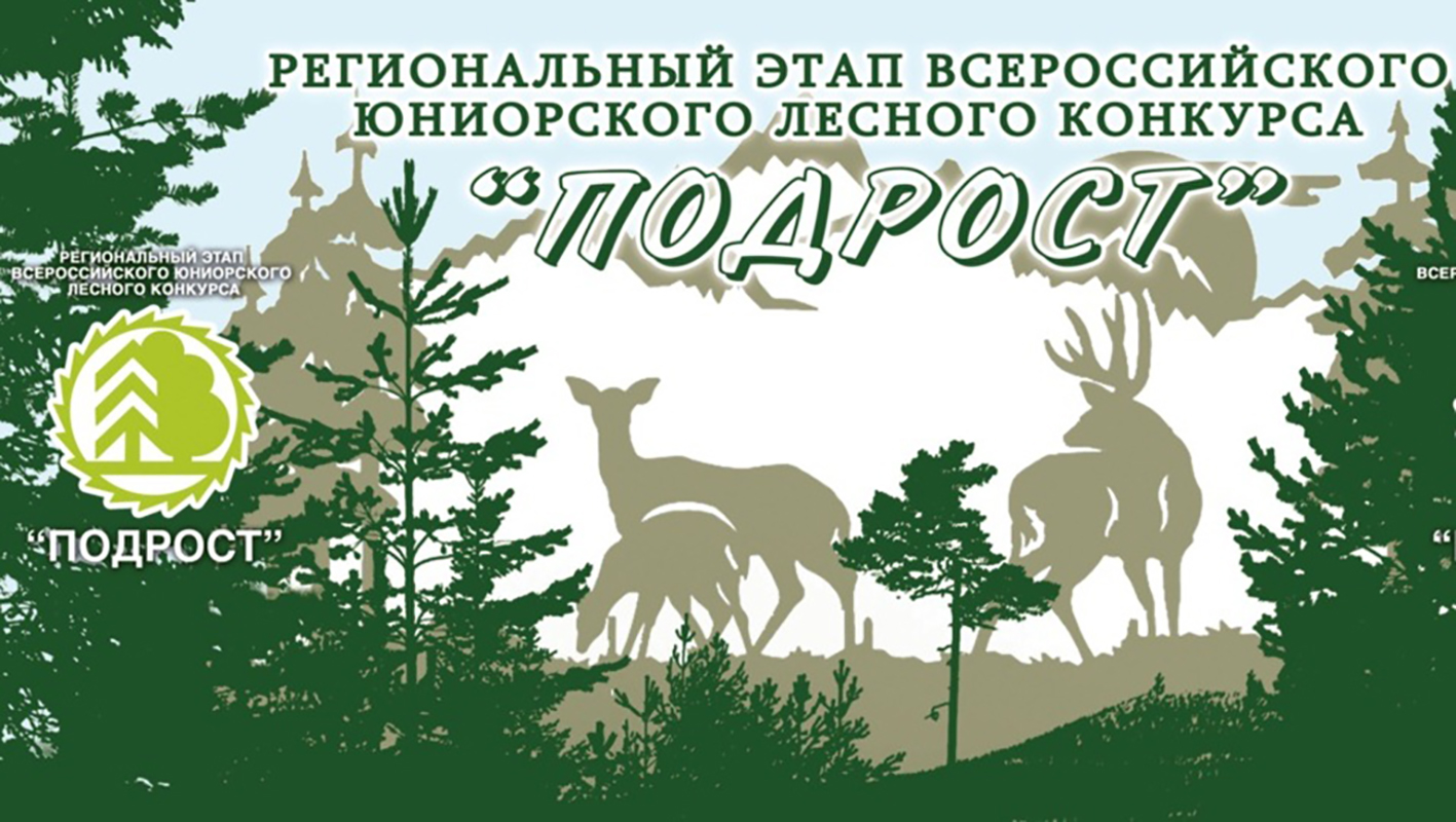 Проведен региональный этап Всероссийского юниорского лесного конкурса «Подрост»