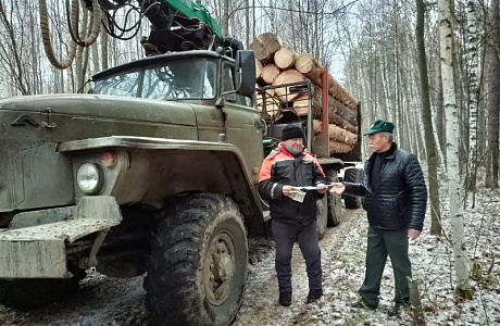 Подведены итоги оперативно-профилактической операции «Лесовоз»