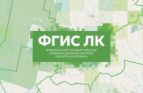 Новые правила предоставления выписки из государственного лесного реестра