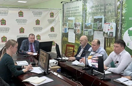 Министр лесного хозяйства Пензенской области провёл совещание в формате видеоконференции