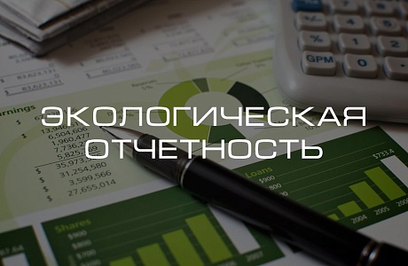 Напоминаем о сроках представления отчета об организации и о результатах осуществления производственного экологического контроля