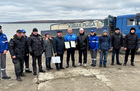 В Пензенской области ведутся активные работы по восстановлению водных биологических ресурсов