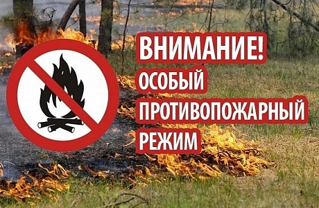 На территории Пензенской области с 1 июня введен особый противопожарный режим На территории Пензенской области с 1 июня введен особый противопожарный режим