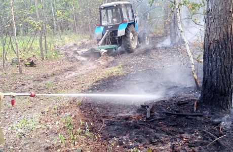 На территории Городищенского района ликвидирован лесной пожар