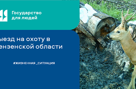 Охота в Пензенской области: необходимые документы и правила