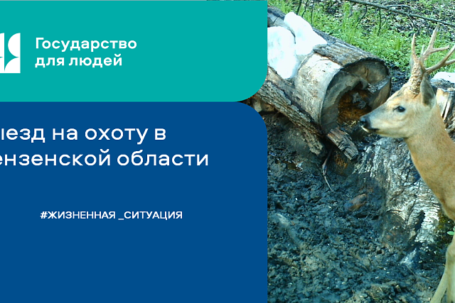 Охота в Пензенской области: необходимые документы и правила