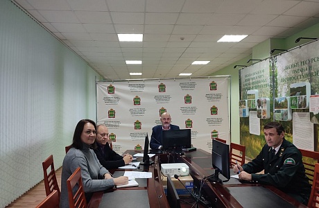 Определены участки, требующие лесовосстановления