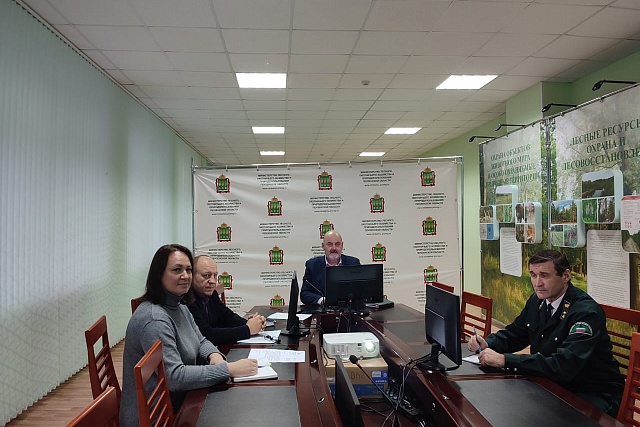Определены участки, требующие лесовосстановления