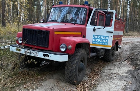В Пензенской области прошли командно-штабные учения по тушению лесных пожаров
