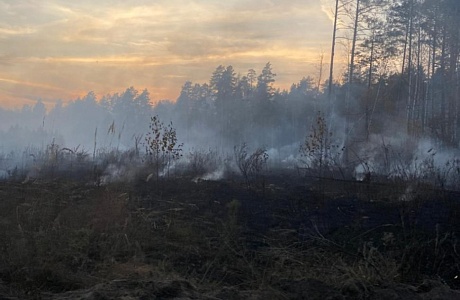 В Пензенской области зафиксирован первый лесной пожар В Пензенской области зафиксирован первый лесной пожар