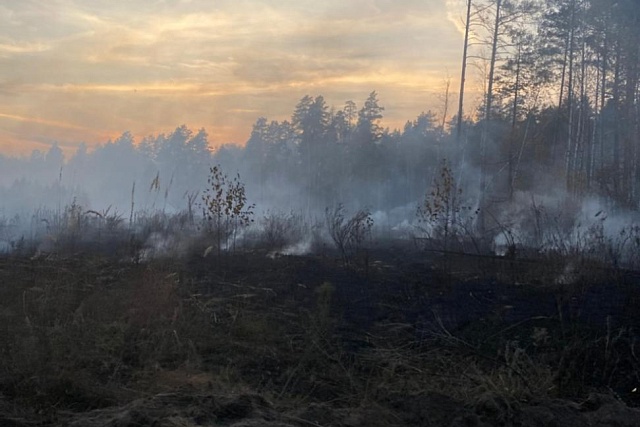 В Пензенской области зафиксирован первый лесной пожар 