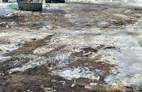 Ликвидированы 3 несанкционированные свалки в городе Нижний Ломов