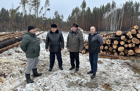 Ришат Алтынбаев проинспектировал ход работ по ликвидации последствий урагана вокруг города Никольск Ришат Алтынбаев проинспектировал ход работ по ликвидации последствий урагана вокруг города Никольск