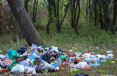 Житель Городищенского района привлечен к ответственности за складирование бытовых отходов на землю Житель Городищенского района привлечен к ответственности за складирование бытовых отходов на землю