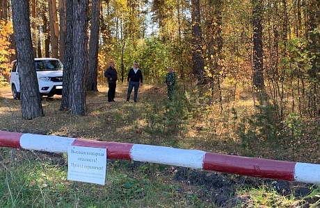 На территории Пензенской области ввели временное ограничение на посещение лесов